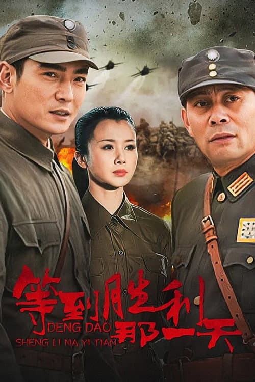 等到胜利那一天 poster