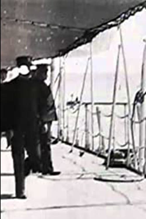 Admiral Dewey Receiving the Washington and New York Committees poster