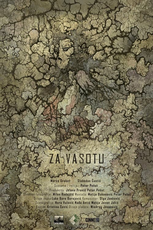 To Vasota poster