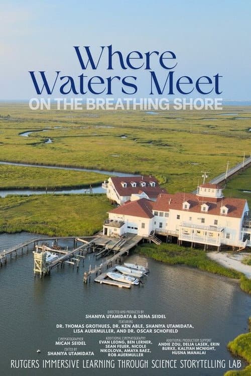 Where the Waters Meet on the Breathing Shore poster