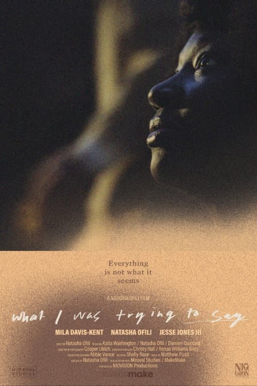 What I Was Trying to Say poster