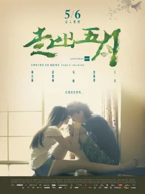 Goodbye May poster