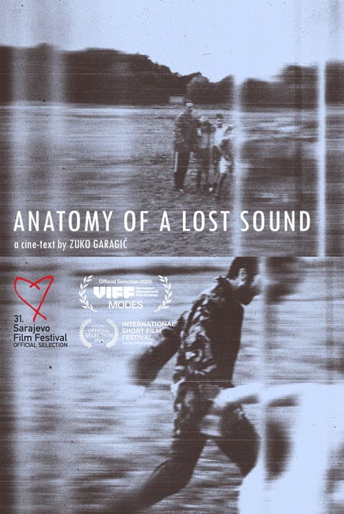 Anatomy of a Lost Sound poster