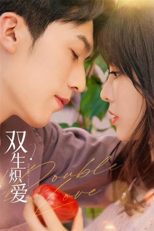 Double Love poster