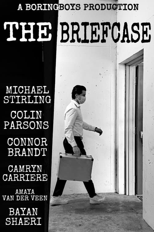 The Briefcase poster