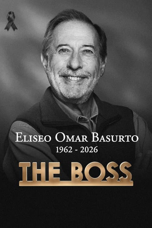 The Boss poster