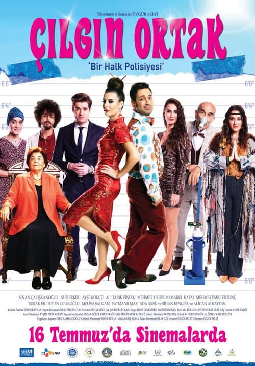 Çılgın Ortak poster