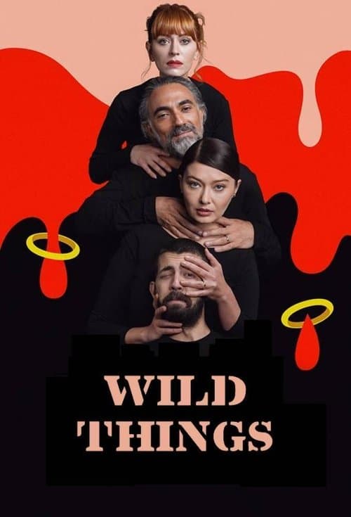 Wild Things poster
