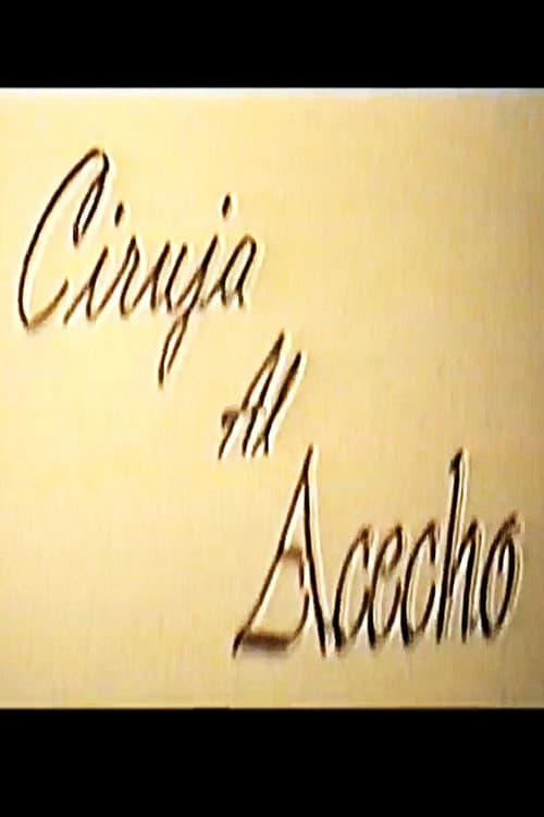 Ciruja al acecho poster
