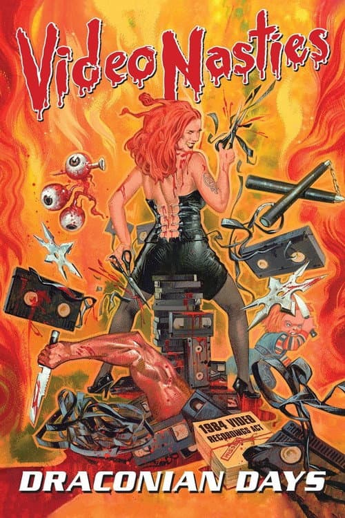 Video Nasties: Draconian Days poster