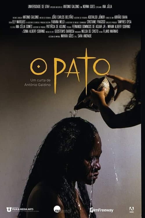 O Pato poster