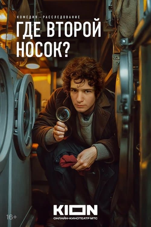 Where’s the Other Sock? poster