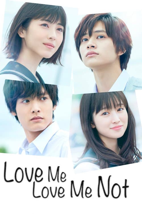 Love Me, Love Me Not poster