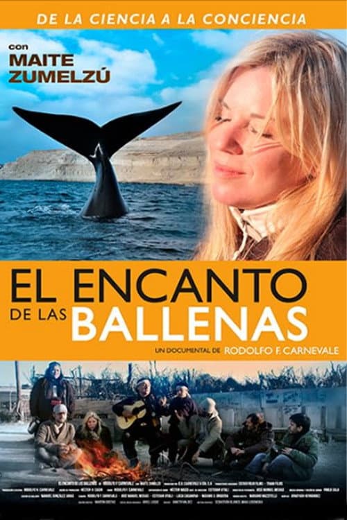 The Charm of Whales poster