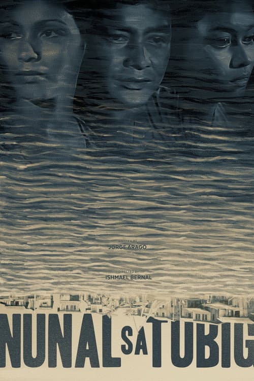 A Speck in the Water poster