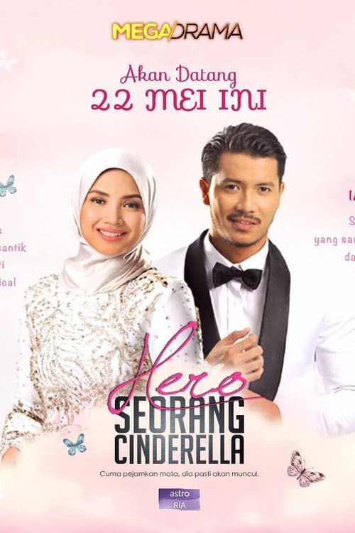 Hero Seorang Cinderella poster