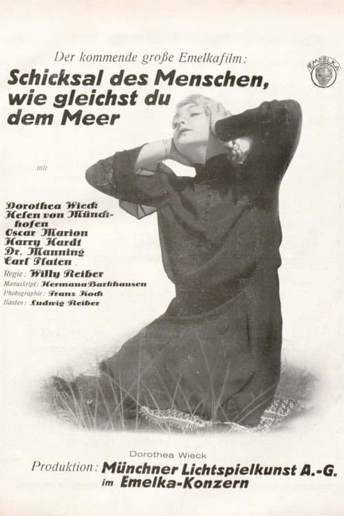 Sturmflut poster