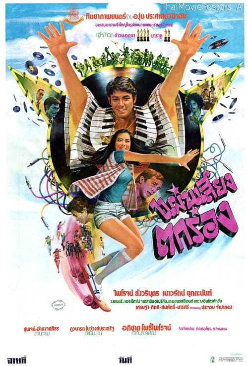 แผ่นเสียงตกร่อง poster