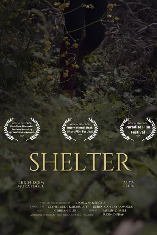 Shelter poster