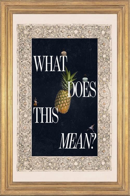 What Does This Mean? poster