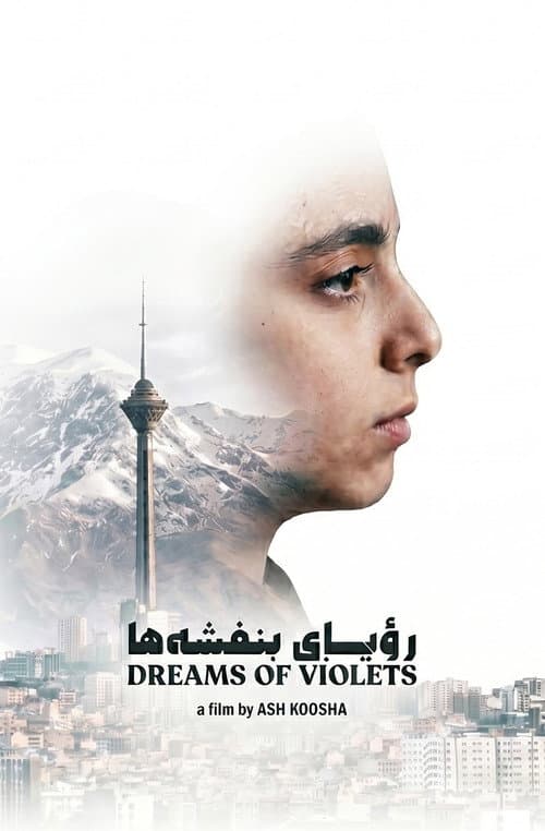 Dreams of Violets poster