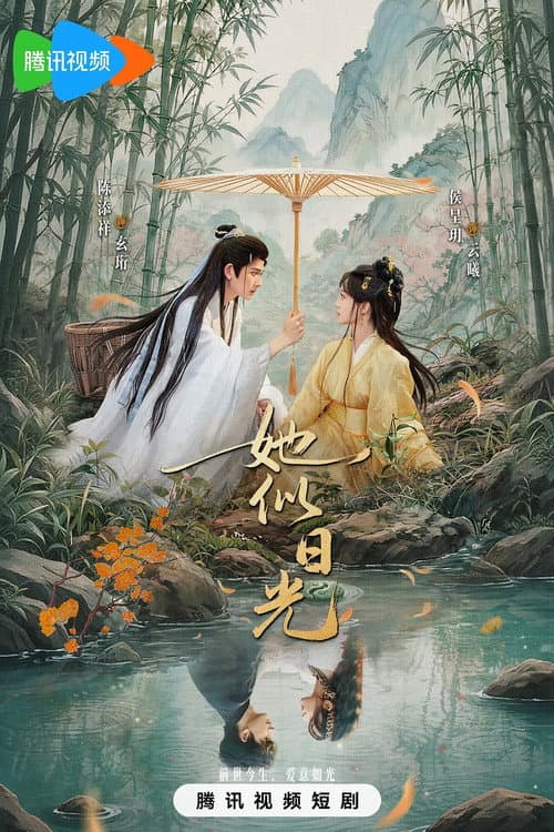 她似日光 poster