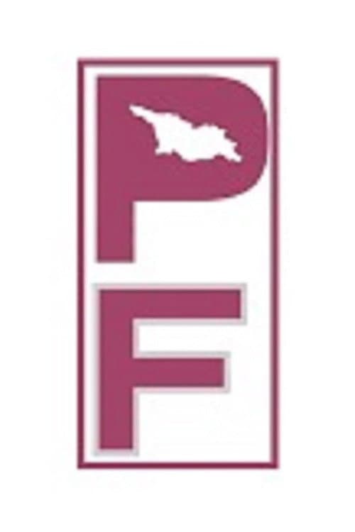 Post Factum poster