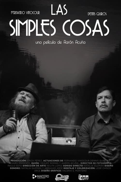 Las simples cosas poster
