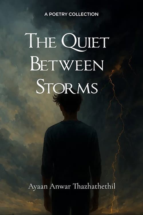 The Quiet Between Storms poster