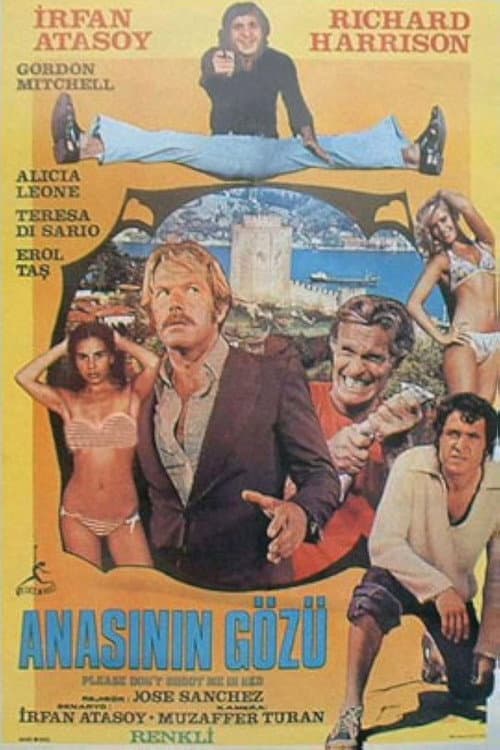 Anasının Gözü poster
