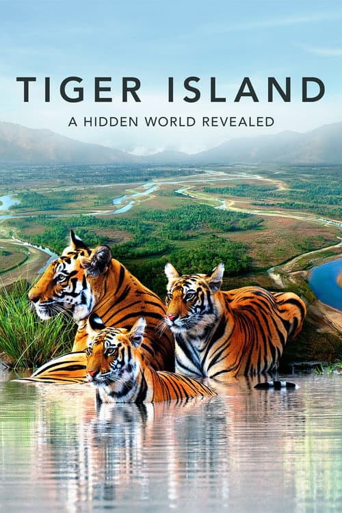 Tiger Island poster