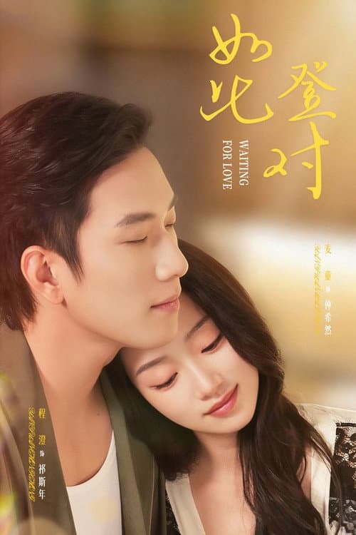 如此登对 poster