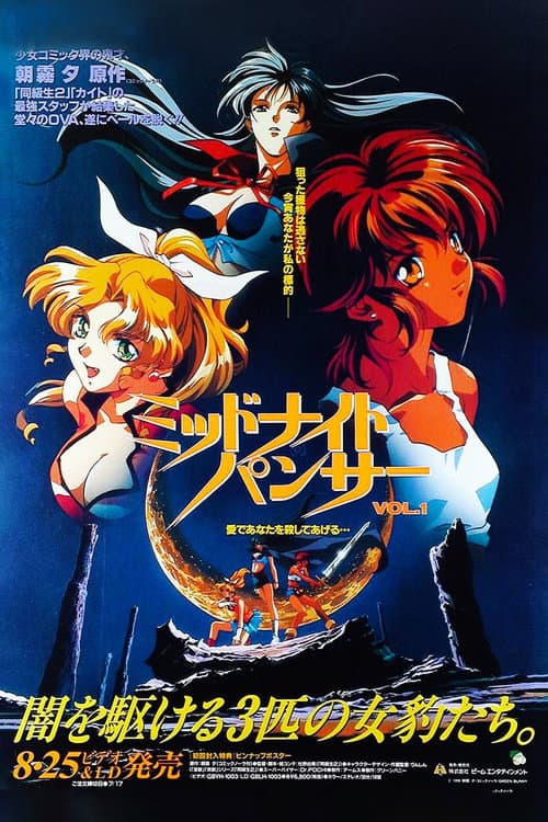 Midnight Panther poster