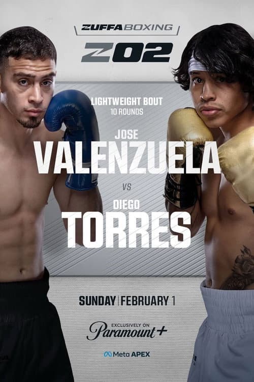 Zuffa Boxing 02 poster