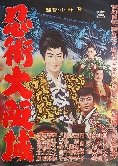 Ninjutsu at Osaka Castle poster