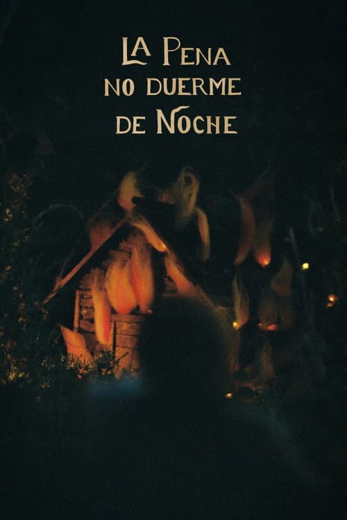 Sorrow Doesn't Sleep At Night poster
