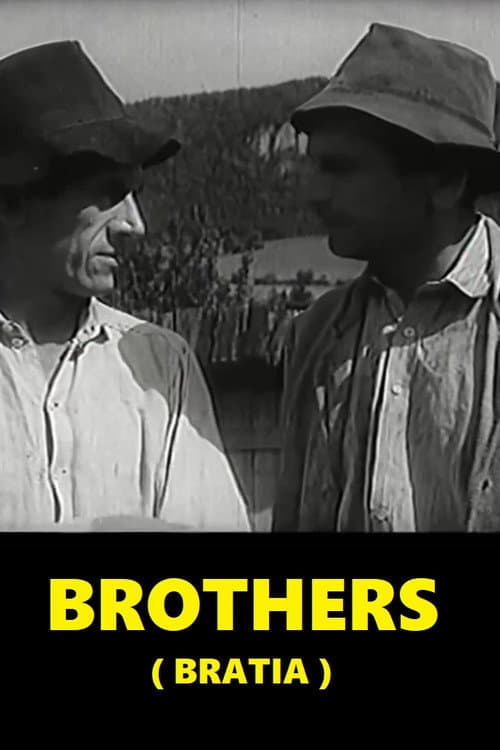 Brothers poster