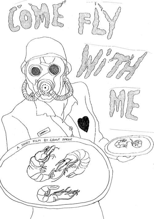 Come Fly With Me poster