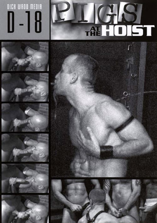 Pigs At The Hoist poster