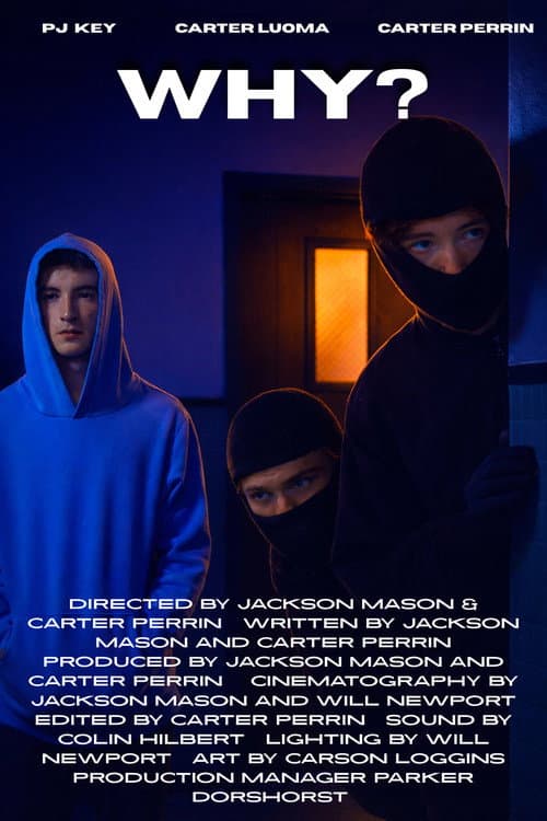 Why? poster