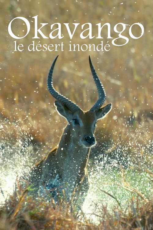 Kalahari: The Flooded Desert poster