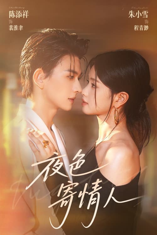 夜色寄情人 poster