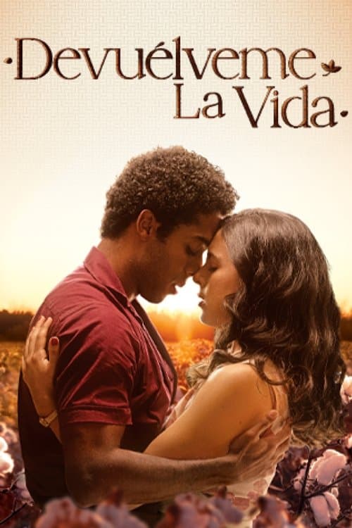 Love of My Life poster