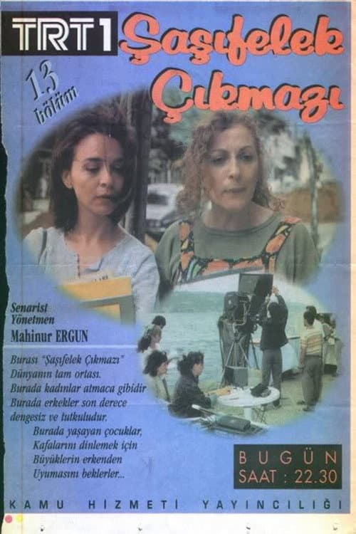 Şaşıfelek Çıkmazı poster