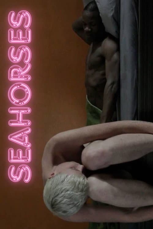 Seahorses poster