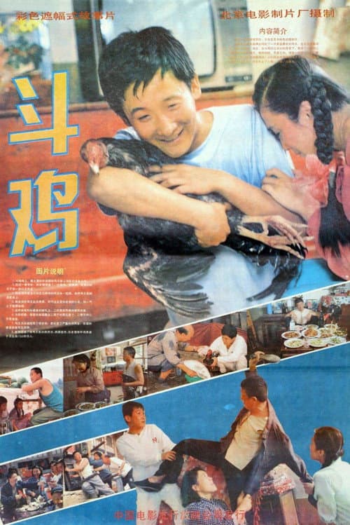 斗鸡 poster