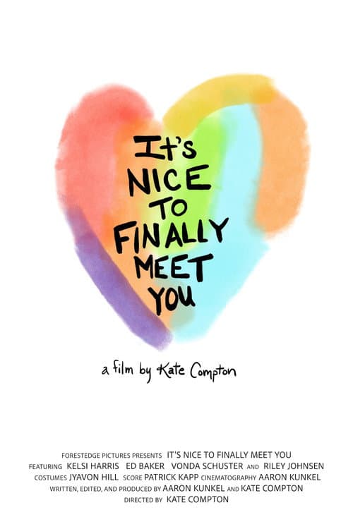 It's Nice to Finally Meet You poster