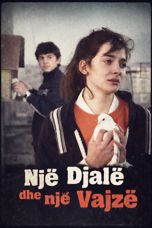 Një djalë edhe një vajzë poster