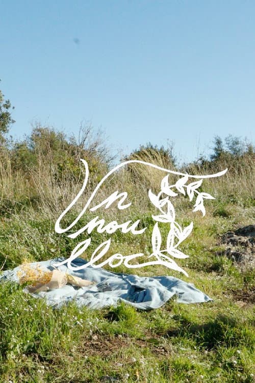 Un Nou Lloc poster