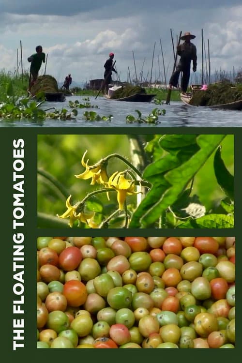 The Floating Tomatoes poster